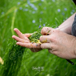 Prendre l'agriculture en main