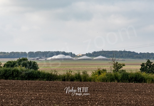 #2409238282 - crédit Nadège PETIT @agri zoom