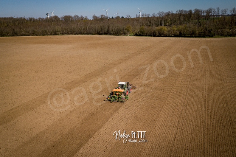 DJI_0139 - crédit Nadège PETIT @agri_zoom.jpg