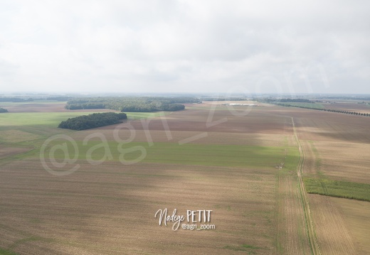 #2409230074 - crédit Nadège PETIT @agri zoom
