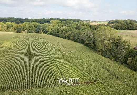 #2409230085 - crédit Nadège PETIT @agri zoom