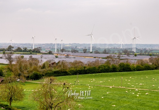 #2304300635 - crédit Nadège PETIT @agri zoom